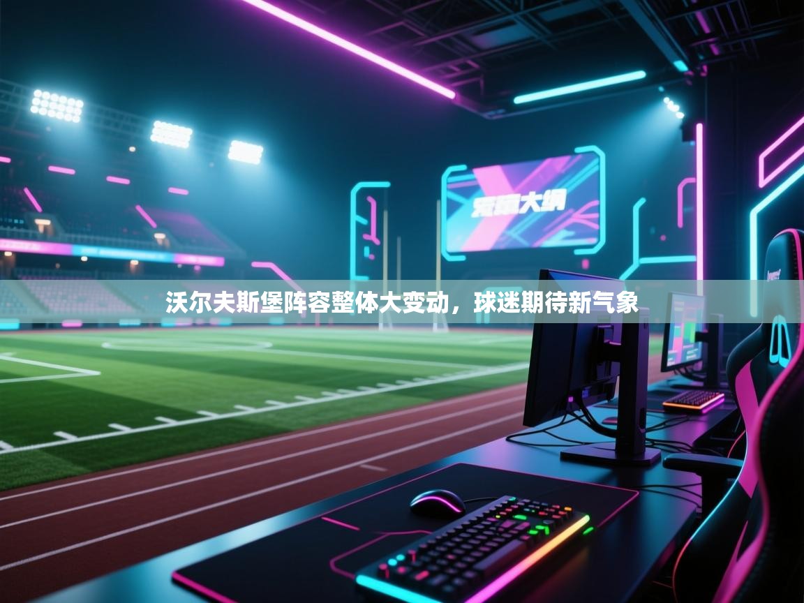 沃尔夫斯堡阵容整体大变动，球迷期待新气象  第2张