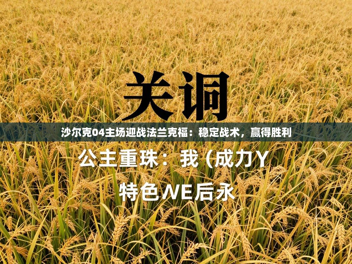 沙尔克04主场迎战法兰克福：稳定战术，赢得胜利  第2张